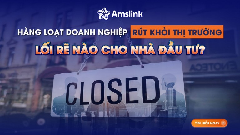 HÀNG LOẠT DOANH NGHIỆP RÚT KHỎI THỊ TRƯỜNG: LỐI RẼ NÀO CHO NHÀ ĐẦU TƯ KINH DOANH?